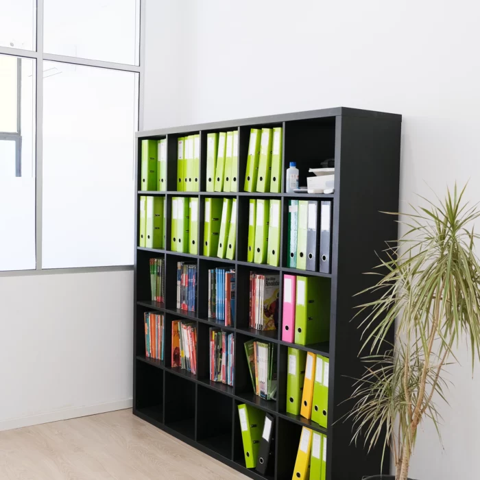 Um escritório com uma estante preta e uma planta verde.