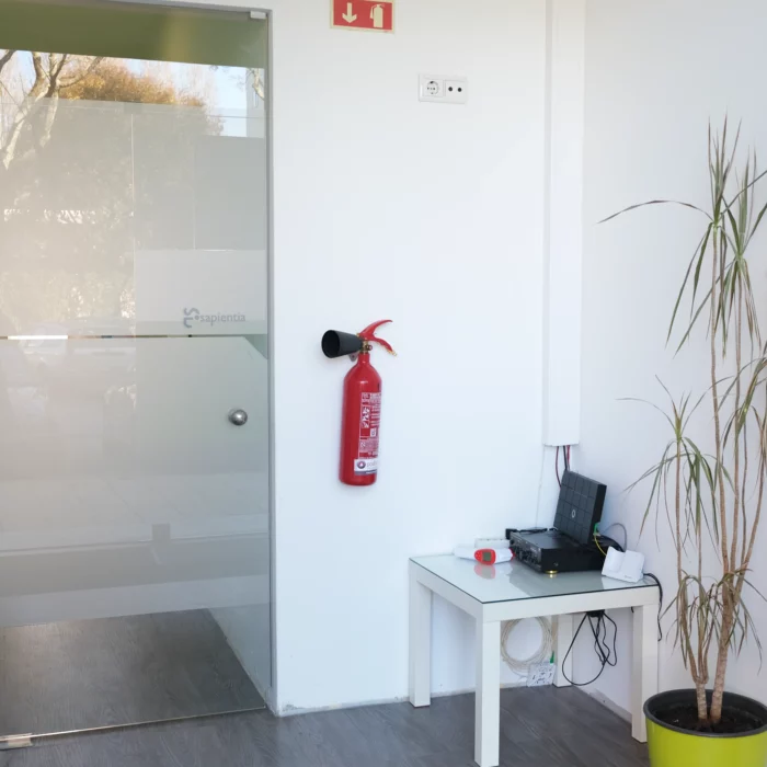 Um pequeno escritório com planta verde e porta verde.