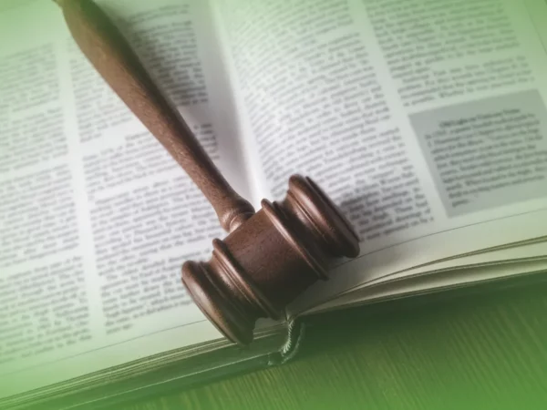 Um martelo de madeira apoiado sobre um livro aberto com texto, realçado por uma suave luz verde. Explicações de Direito Constitucional da ONU. Pacote de Horas