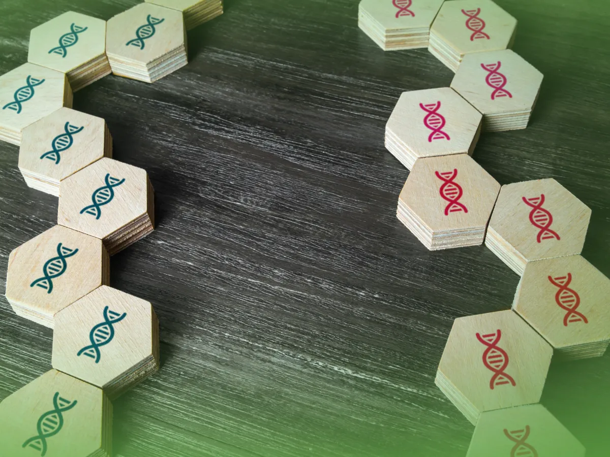 Ladrilhos de madeira hexagonais com ilustrações de peixes em azul, rosa e verde dispostos em grupos sobre uma superfície de madeira escura.