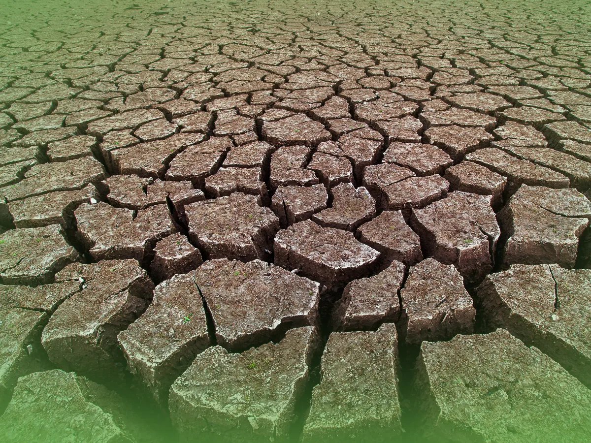 Terra seca e rachada formando um padrão intrincado, com um tom verde suave sobrepondo a superfície texturizada de Explicações de Geologia UN. Pacote de Horas.