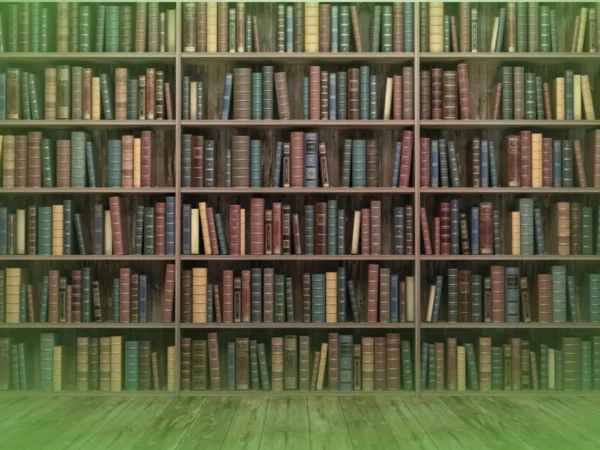 Uma "Explicações de Literatura Portuguesa 12.º Ano . Pacote de Horas" repleta de vários livros de diferentes cores e tamanhos. O piso é de madeira e a imagem tem tonalidade verde.