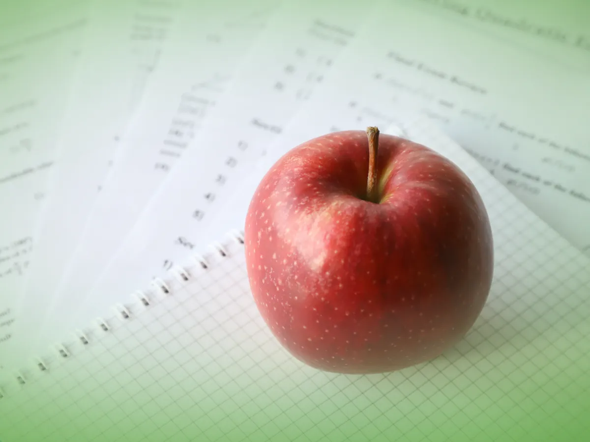 Explicações de Matemática 8.º Ano . Pacote de Horas