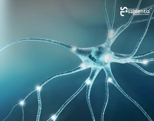 Ilustração digital de um neurônio com conexões sinápticas sobre fundo azul.