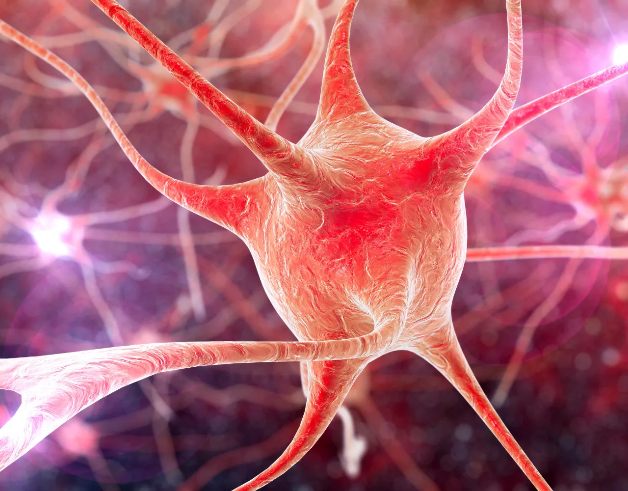 Ilustração digital de um neurônio com dendritos em uma rede neural.
